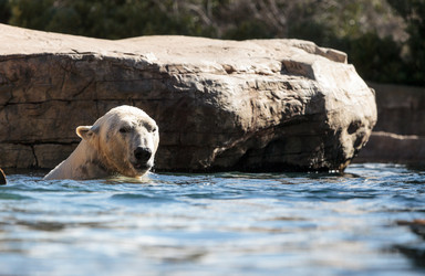 Similar image 13051489