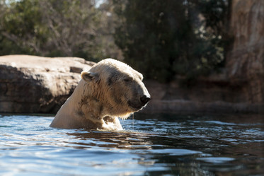 Similar image 13051636