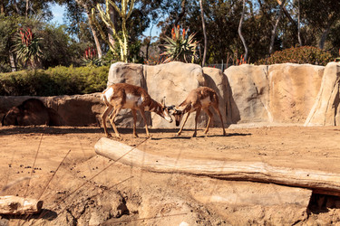 Similar image 13051637