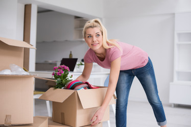 Similar image 13022347