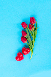 Similar image 13046038