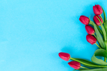 Similar image 13046040