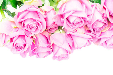 Similar image 13046059