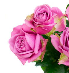 Similar image 13046060