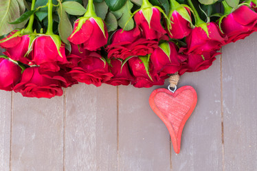 Similar image 13017045