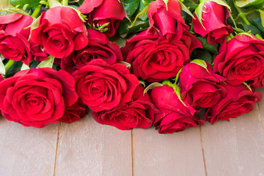 Similar image 13023520