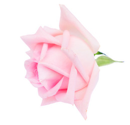 Similar image 13023560