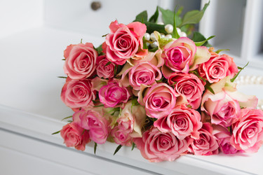 Similar image 13038679