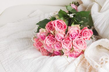 Similar image 13039119