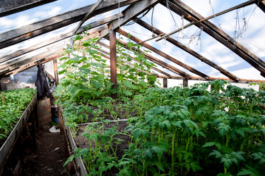 Similar image 13032820