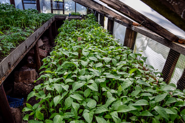 Similar image 13032841