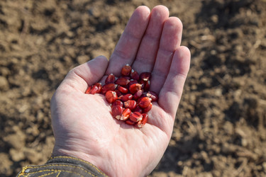 Similar image 13024299