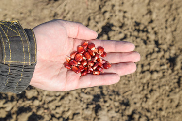 Similar image 13059265