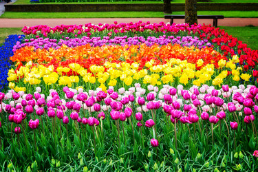 Similar image 13038821