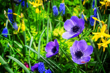 Similar image 13038839