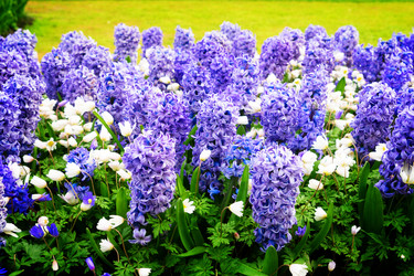 Similar image 13038908