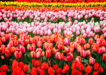 Similar image 13038940