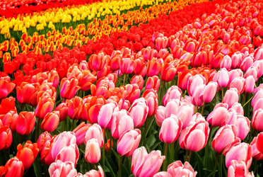 Similar image 13038941