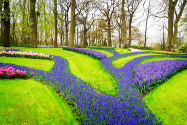 Similar image 13038975