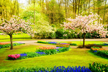 Similar image 13039049