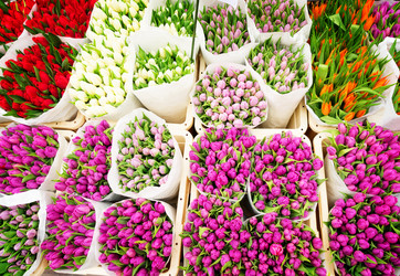 Similar image 13039282