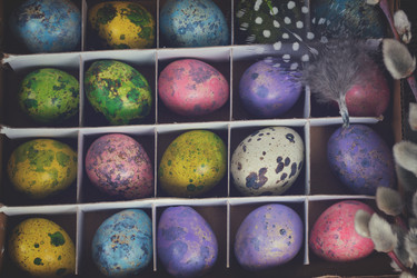 Similar image 13040128