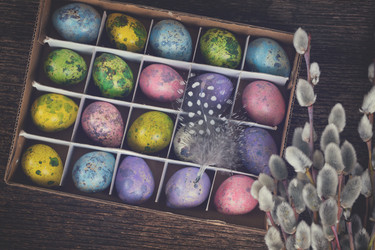 Similar image 13040184