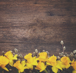 Similar image 13045880