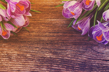 Similar image 13045881