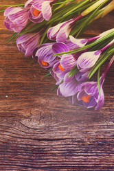 Similar image 13045902