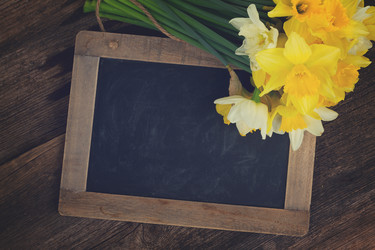 Similar image 13046003