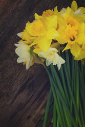 Similar image 13046004