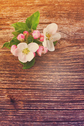 Similar image 13046081