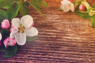 Similar image 13046163