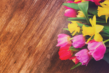 Similar image 13046164