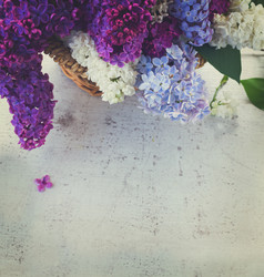 Similar image 13050570