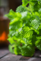 Similar image 13030158