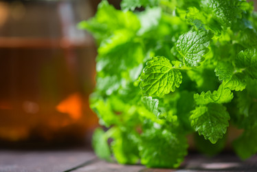 Similar image 13030159