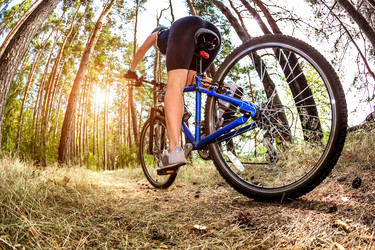 Similar image 13023164