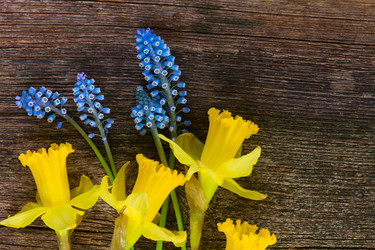 Similar image 13017046