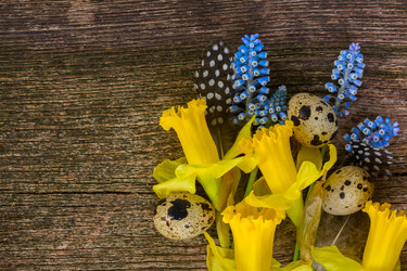 Similar image 13023621