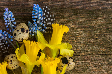 Similar image 13023638