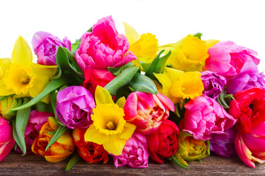 Similar image 13039054