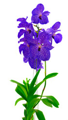 Similar image 13039236