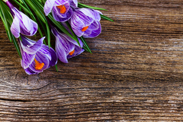 Similar image 13038427