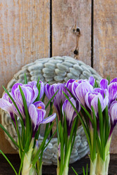 Similar image 13038462