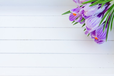 Similar image 13038526