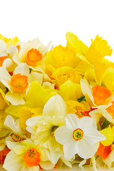 Similar image 13038563