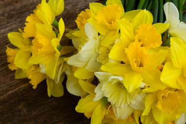 Similar image 13038976