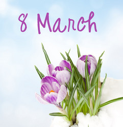 Similar image 13040104